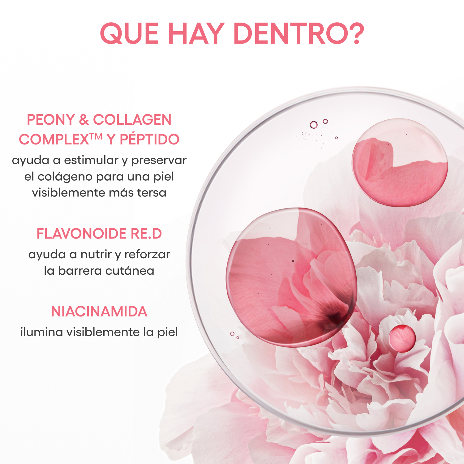 BOUNCY & FIRM SERUM (SUERO PARA ROSTRO)